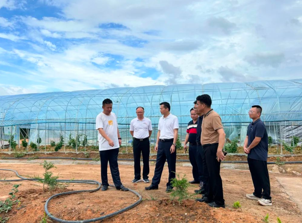 县委书记潘国标，县委副书记、县长江红平分别率队督导检查防台风工作