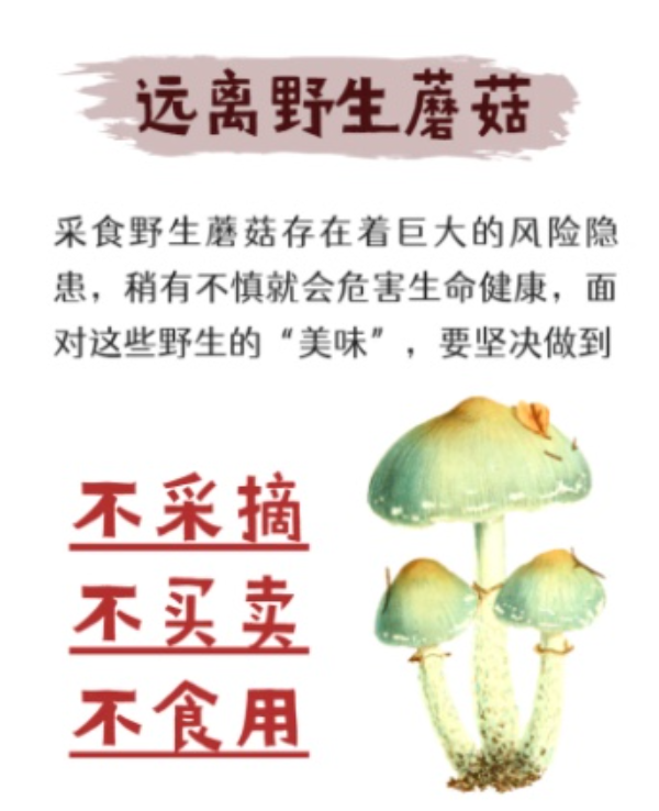 紧急提醒：珍爱生命，远离野生蘑菇！.jpg