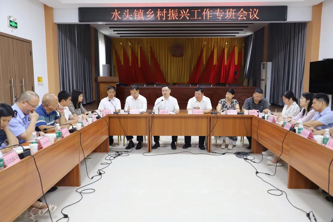 水头镇乡村振兴工作专班会议召开