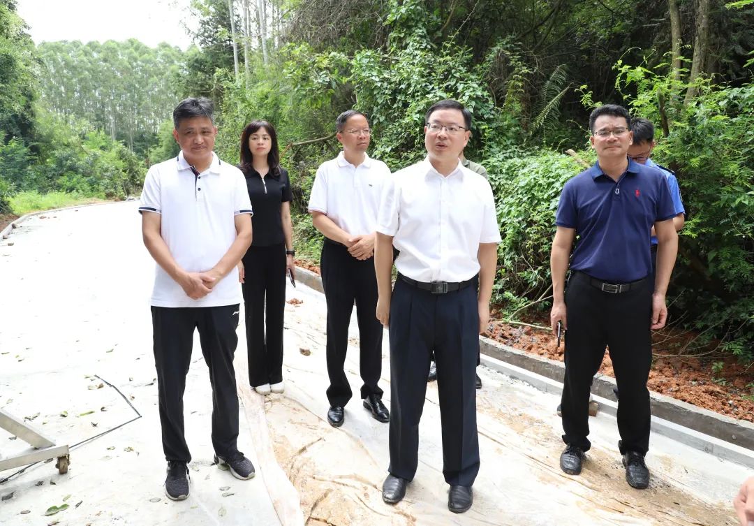 县委副书记、县长江红平调研北山公园提质改造工程和城北中学地质灾害隐患点整治工作