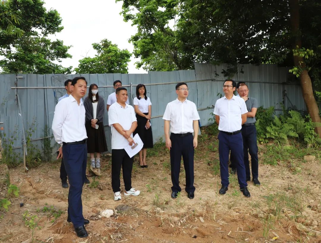 县委副书记、县长江红平率队到水头镇调研“百千万工程”具体工作推进情况