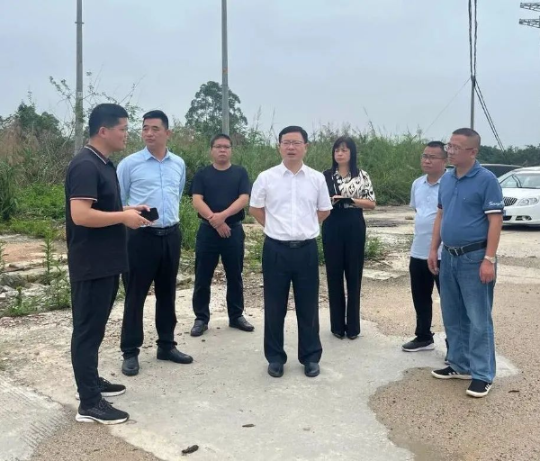 县委副书记、县长江红平率队到龙山镇、石角镇调研