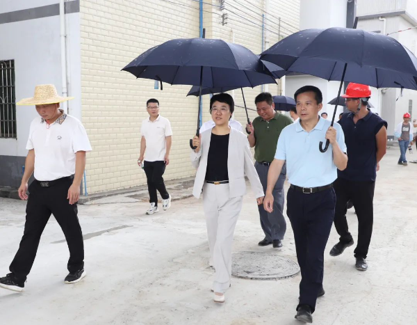 市委副书记翟雪梅率队到迳头镇调研典型村建设和开展“七一”慰问工作。