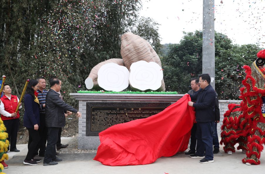 我县汤塘镇竹山村举办第十六届粉葛节