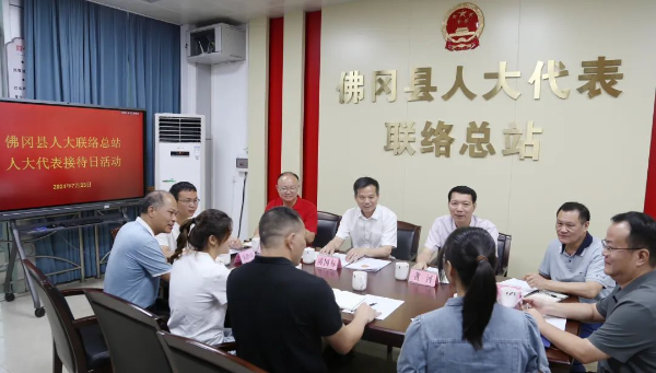 市、县人大代表、县委书记潘国标以人大代表身份到佛冈县人大代表联络总站开展人大代表接待日活动