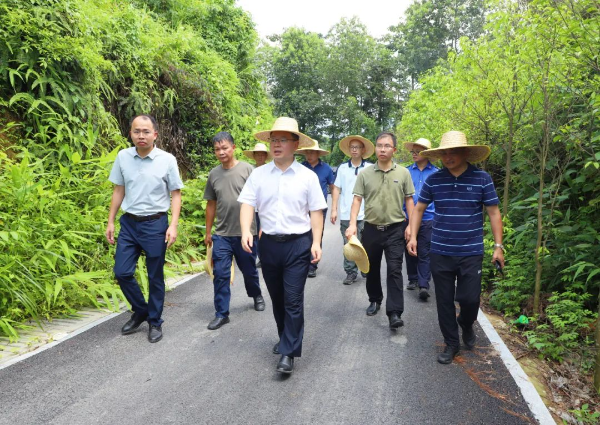 县委副书记、县长江红平率队调研督导我县北山环境整治工程项目进展工作情况