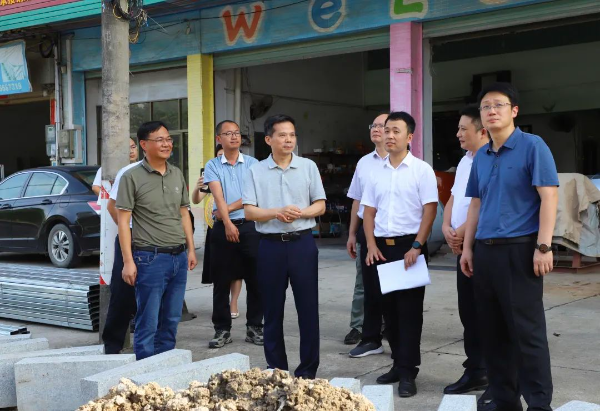 县委书记、县“百千万工程”指挥部总指挥潘国标率队到汤塘镇、龙山镇调研督导“百千万工程”项目建设推进情况