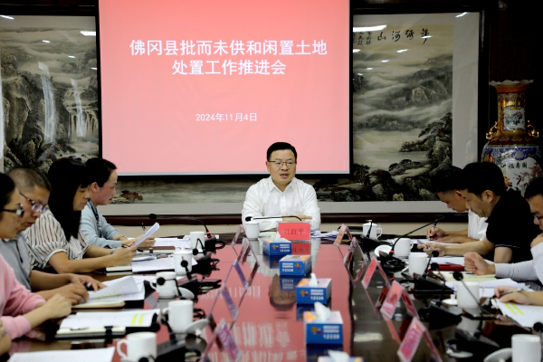佛冈召开2024年度批而未供和闲置土地处置工作推进会