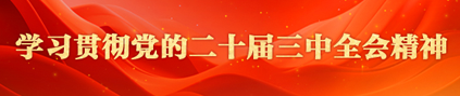 学习贯彻党的二十届三中全会精神