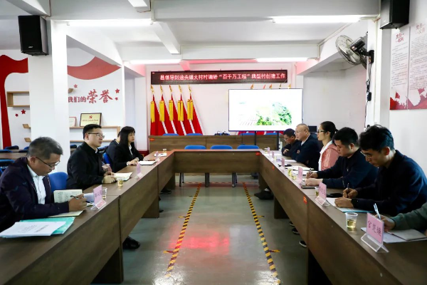 县委副书记、县长江红平率队到迳头镇大村村督导检查“百千万工程”典型村建设工作