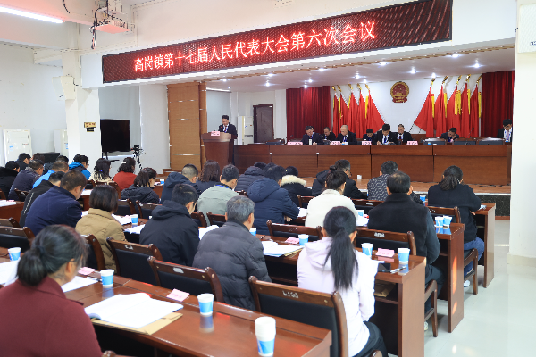 镇党委副书记江飞跃作《高岗镇实施“百县千镇万村高质量发展工程”工作汇报》.JPG