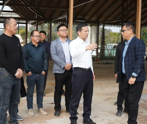 县委书记潘国标率队到龙山镇调研“百千万工程”典型村培育建设工作