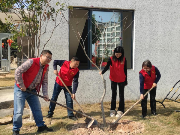 已编辑图片