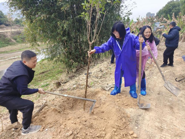 已编辑图片