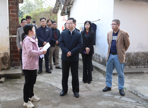 县委副书记、县长江红平率队到水头镇调研地质灾害隐患点整治及汛前防御工作