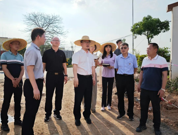 委副书记、县长江红平率队到汤塘镇、龙山镇督导路域整治工作