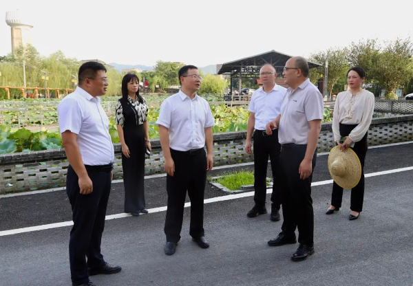 县委副书记、县长江红平率队督导检查基孔肯雅热和登革热防控工作