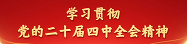 学习贯彻党的二十届四中全会精神