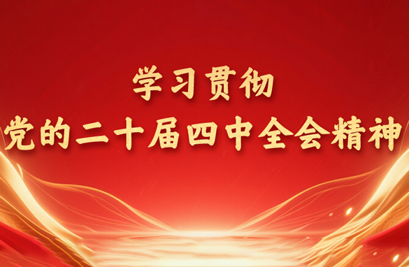 学习贯彻党的二十届四中全会精神