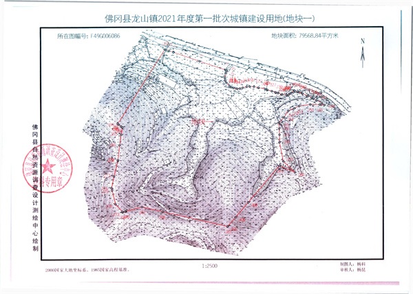 307441.jpg