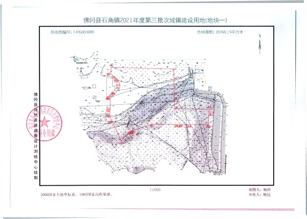 307457.jpg