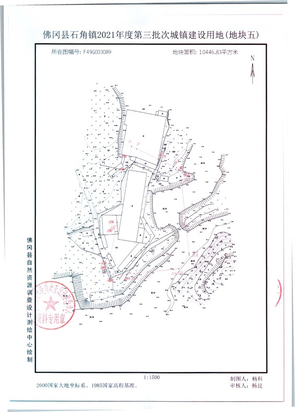 307461.jpg