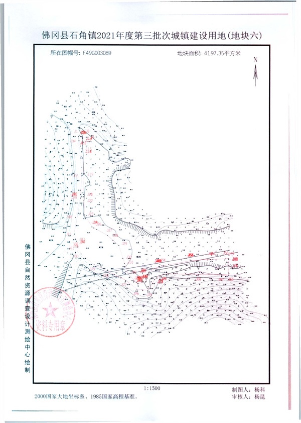 307462.jpg