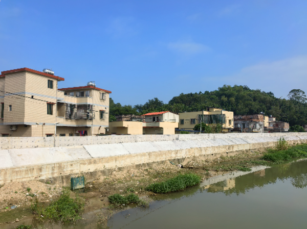 加固后的全兴堤围.jpg