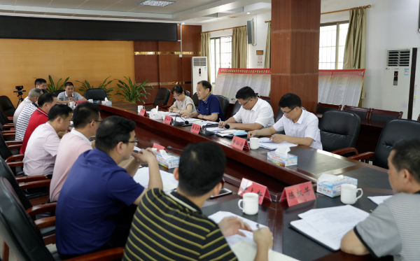 县委书记董和平到石角镇调研重点项目建设情况