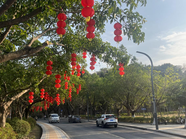 图片10.png