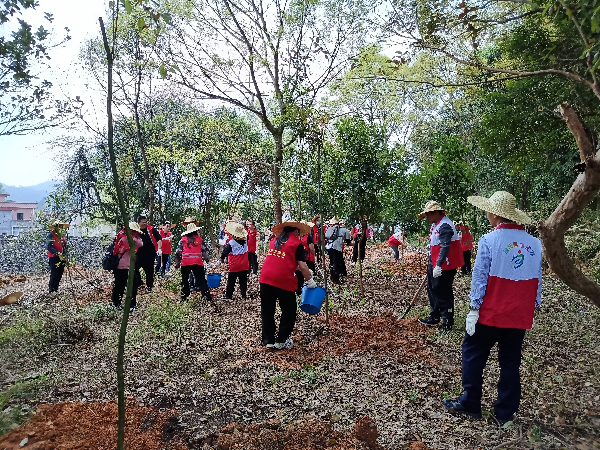 （高岗镇各村（社区）植树点开展“我为佛冈种棵树”认捐认种行动）.jpg