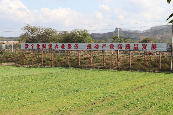图片6.png