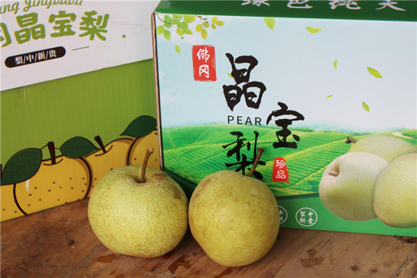 图片 10.png