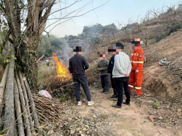 已编辑图片