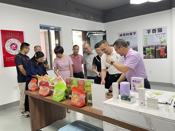 广东省魔芋高效种植标准化试点顺利通过中期评估2.jpg