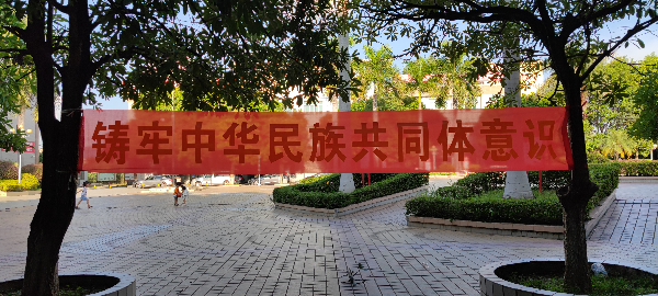 已编辑图片