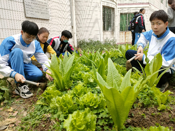 图片5.jpg