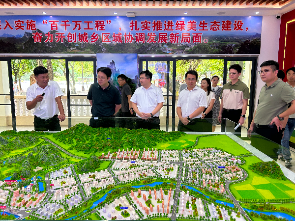 4.调研阳春市春湾镇民国风情骑楼街全域土地综合整治子项目建设情况.jpg
