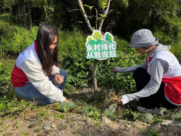 已编辑图片